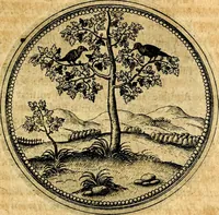 An illustration from Joachimi Camerarii Symbolorvm et emblematvm centvriæ tres. I. Ex herbis & stirpibus. II. Ex animalibus quadrupedibus. III. Ex volatilibus & insectis. Accessit noviter centvria IV. Ex aquatilibus & reptilibus. Cvm figvris æneis (1605)