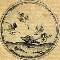 An illustration from Joachimi Camerarii Symbolorvm et emblematvm centvriæ tres. I. Ex herbis & stirpibus. II. Ex animalibus quadrupedibus. III. Ex volatilibus & insectis. Accessit noviter centvria IV. Ex aquatilibus & reptilibus. Cvm figvris æneis (1605)