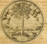 An illustration from Joachimi Camerarii Symbolorvm et emblematvm centvriæ tres. I. Ex herbis & stirpibus. II. Ex animalibus quadrupedibus. III. Ex volatilibus & insectis. Accessit noviter centvria IV. Ex aquatilibus & reptilibus. Cvm figvris æneis (1605)