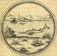An illustration from Joachimi Camerarii Symbolorvm et emblematvm centvriæ tres. I. Ex herbis & stirpibus. II. Ex animalibus quadrupedibus. III. Ex volatilibus & insectis. Accessit noviter centvria IV. Ex aquatilibus & reptilibus. Cvm figvris æneis (1605)