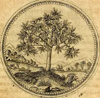 Picture 45 of 591 from Joachimi Camerarii Symbolorvm et emblematvm centvriæ tres. I. Ex herbis & stirpibus. II. Ex animalibus quadrupedibus. III. Ex volatilibus & insectis. Accessit noviter centvria IV. Ex aquatilibus & reptilibus. Cvm figvris æneis (1605), leaf 66