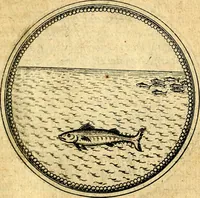 An illustration from Joachimi Camerarii Symbolorvm et emblematvm centvriæ tres. I. Ex herbis & stirpibus. II. Ex animalibus quadrupedibus. III. Ex volatilibus & insectis. Accessit noviter centvria IV. Ex aquatilibus & reptilibus. Cvm figvris æneis (1605)