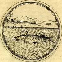 Picture 484 of 591 from Joachimi Camerarii Symbolorvm et emblematvm centvriæ tres. I. Ex herbis & stirpibus. II. Ex animalibus quadrupedibus. III. Ex volatilibus & insectis. Accessit noviter centvria IV. Ex aquatilibus & reptilibus. Cvm figvris æneis (1605), leaf 680