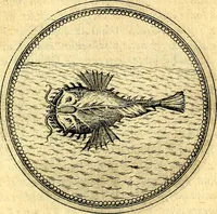 An illustration from Joachimi Camerarii Symbolorvm et emblematvm centvriæ tres. I. Ex herbis & stirpibus. II. Ex animalibus quadrupedibus. III. Ex volatilibus & insectis. Accessit noviter centvria IV. Ex aquatilibus & reptilibus. Cvm figvris æneis (1605)