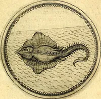 An illustration from Joachimi Camerarii Symbolorvm et emblematvm centvriæ tres. I. Ex herbis & stirpibus. II. Ex animalibus quadrupedibus. III. Ex volatilibus & insectis. Accessit noviter centvria IV. Ex aquatilibus & reptilibus. Cvm figvris æneis (1605)