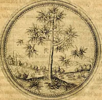 Picture 50 of 591 from Joachimi Camerarii Symbolorvm et emblematvm centvriæ tres. I. Ex herbis & stirpibus. II. Ex animalibus quadrupedibus. III. Ex volatilibus & insectis. Accessit noviter centvria IV. Ex aquatilibus & reptilibus. Cvm figvris æneis (1605), leaf 72
