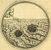 Picture 520 of 591 from Joachimi Camerarii Symbolorvm et emblematvm centvriæ tres. I. Ex herbis & stirpibus. II. Ex animalibus quadrupedibus. III. Ex volatilibus & insectis. Accessit noviter centvria IV. Ex aquatilibus & reptilibus. Cvm figvris æneis (1605), leaf 730