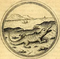 Picture 542 of 591 from Joachimi Camerarii Symbolorvm et emblematvm centvriæ tres. I. Ex herbis & stirpibus. II. Ex animalibus quadrupedibus. III. Ex volatilibus & insectis. Accessit noviter centvria IV. Ex aquatilibus & reptilibus. Cvm figvris æneis (1605), leaf 762