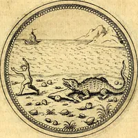 Picture 543 of 591 from Joachimi Camerarii Symbolorvm et emblematvm centvriæ tres. I. Ex herbis & stirpibus. II. Ex animalibus quadrupedibus. III. Ex volatilibus & insectis. Accessit noviter centvria IV. Ex aquatilibus & reptilibus. Cvm figvris æneis (1605), leaf 764