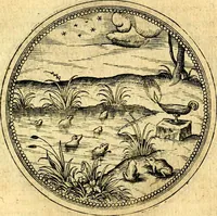 Picture 551 of 591 from Joachimi Camerarii Symbolorvm et emblematvm centvriæ tres. I. Ex herbis & stirpibus. II. Ex animalibus quadrupedibus. III. Ex volatilibus & insectis. Accessit noviter centvria IV. Ex aquatilibus & reptilibus. Cvm figvris æneis (1605), leaf 776