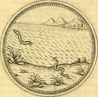 An illustration from Joachimi Camerarii Symbolorvm et emblematvm centvriæ tres. I. Ex herbis & stirpibus. II. Ex animalibus quadrupedibus. III. Ex volatilibus & insectis. Accessit noviter centvria IV. Ex aquatilibus & reptilibus. Cvm figvris æneis (1605)