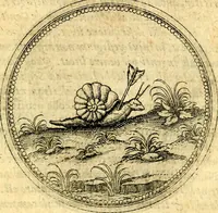 An illustration from Joachimi Camerarii Symbolorvm et emblematvm centvriæ tres. I. Ex herbis & stirpibus. II. Ex animalibus quadrupedibus. III. Ex volatilibus & insectis. Accessit noviter centvria IV. Ex aquatilibus & reptilibus. Cvm figvris æneis (1605)