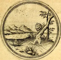 An illustration from Joachimi Camerarii Symbolorvm et emblematvm centvriæ tres. I. Ex herbis & stirpibus. II. Ex animalibus quadrupedibus. III. Ex volatilibus & insectis. Accessit noviter centvria IV. Ex aquatilibus & reptilibus. Cvm figvris æneis (1605)