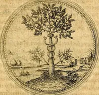An illustration from Joachimi Camerarii Symbolorvm et emblematvm centvriæ tres. I. Ex herbis & stirpibus. II. Ex animalibus quadrupedibus. III. Ex volatilibus & insectis. Accessit noviter centvria IV. Ex aquatilibus & reptilibus. Cvm figvris æneis (1605)