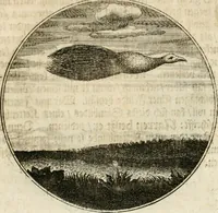 An illustration from Joannes de Boria Moralische Sinn-Bilder (1698)