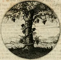 An illustration from Joannes de Boria Moralische Sinn-Bilder (1698)