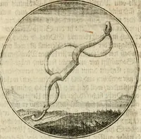 An illustration from Joannes de Boria Moralische Sinn-Bilder (1698)