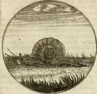 An illustration from Joannes de Boria Moralische Sinn-Bilder (1698)