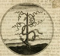 An illustration from Joannes de Boria Moralische Sinn-Bilder (1698)