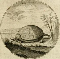 An illustration from Joannes de Boria Moralische Sinn-Bilder (1698)