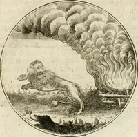 An illustration from Joannes de Boria Moralische Sinn-Bilder (1698)