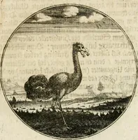 An illustration from Joannes de Boria Moralische Sinn-Bilder (1698)