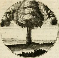 An illustration from Joannes de Boria Moralische Sinn-Bilder (1698)
