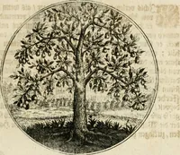 An illustration from Joannes de Boria Moralische Sinn-Bilder (1698)