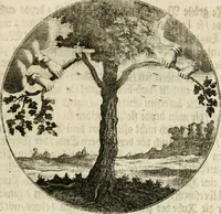 An illustration from Joannes de Boria Moralische Sinn-Bilder (1698)
