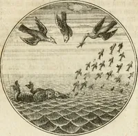 An illustration from Joannes de Boria Moralische Sinn-Bilder (1698)