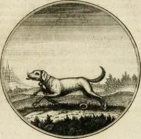 An illustration from Joannes de Boria Moralische Sinn-Bilder (1698)