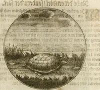 An illustration from Joannes de Boria Moralische Sinn-Bilder (1698)