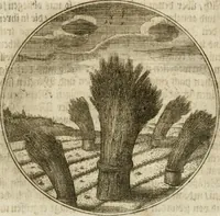 An illustration from Joannes de Boria Moralische Sinn-Bilder (1698)
