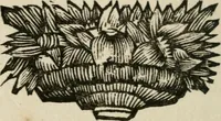An illustration from Joannes Michaelis von der Ketten ... Apelles symbolicus (1699)