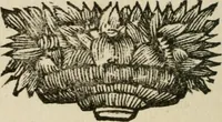An illustration from Joannes Michaelis von der Ketten ... Apelles symbolicus (1699)