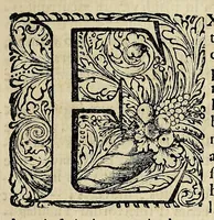 An illustration from Joannis Baptistae Morgagni Foroliviensis ... Adversaria anatomica omnia : novis pluribus aereis tabulis, & universali accuratissimo indice ornata : opus nunc vere absolutum, inventis, & innumeris observationibus, ac monitis refertum, quibus universa humani corporis anatome, & subinde etiam quae ab hac pendent, res medica, & chirurgica admodum illustrantur .. (1741)