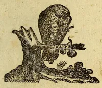 Picture 2 of 3 from Joannis Bisselii, è Societate Jesu, Argonauticon Americanorum, sive, historiæ periculorum Petri de Victoria, ac Sociorum eius, libri XV (1647), leaf 11