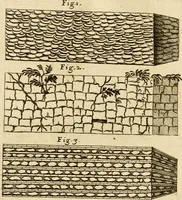 An illustration from Joannis Ciampini Romani, magistri brevium gratiae ... Opera, in tres tomos distributa : acesserunt eiusdem Ciampini opuscula quaedam selectiora : item appendix, seu notae, in quibus nonnulla post eius obitum innovata recensentur : ac demum auctoris vita, nunc primùm ipsius operibus addita (1747)
