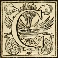 An illustration from Joannis Ciampini Romani, magistri brevium gratiae ... Opera, in tres tomos distributa : acesserunt eiusdem Ciampini opuscula quaedam selectiora : item appendix, seu notae, in quibus nonnulla post eius obitum innovata recensentur : ac demum auctoris vita, nunc primùm ipsius operibus addita (1747)