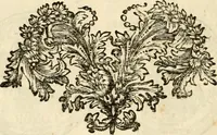 An illustration from Joannis Ciampini Romani, magistri brevium gratiae ... Opera, in tres tomos distributa : acesserunt eiusdem Ciampini opuscula quaedam selectiora : item appendix, seu notae, in quibus nonnulla post eius obitum innovata recensentur : ac demum auctoris vita, nunc primùm ipsius operibus addita (1747)