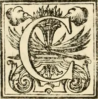 An illustration from Joannis Ciampini Romani, magistri brevium gratiae ... Opera, in tres tomos distributa : acesserunt eiusdem Ciampini opuscula quaedam selectiora : item appendix, seu notae, in quibus nonnulla post eius obitum innovata recensentur : ac demum auctoris vita, nunc primùm ipsius operibus addita (1747)