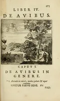 Picture 5 of 6 from Joannes Michaelis von der Ketten Ord. Salv. vulgo S. Birgittae Sacerdotis Apelles symbolicus : exhibens seriem amplissimam symbolorum, poetisque, oratoribus ac verbi Dei praedicatoribus conceptus subministrans varios : duobus voluminibus (1699), leaf 503