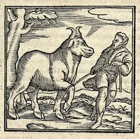 An illustration from Joannis Pierii Valeriani Bellunensis Hieroglyphica, sive, De sacris Aegyptiorum aliarumque gentium literis, commentariorum libri LVIII, duobus aliis ab eruditissimo viro annexis. Accesserunt loco auctarii, Hieroglyphicorum collectanea, ex veteribus & recentioribus auctoribus descripta, & in sex libros ordine alphabetico digesta; item Horapollinis Hieroglyphicorum libri duo ex postrema Davidis Hoeschelii correctione. Praeterea ejusdem Pierii Declamatiuncula pro barbis sacerdotum; De infelicitate literatorum libri duo; denique Antiquitatum Bellunensium sermones quatuor (1678)