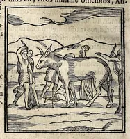 An illustration from Joannis Pierii Valeriani Bellunensis Hieroglyphica, sive, De sacris Aegyptiorum aliarumque gentium literis, commentariorum libri LVIII, duobus aliis ab eruditissimo viro annexis. Accesserunt loco auctarii, Hieroglyphicorum collectanea, ex veteribus & recentioribus auctoribus descripta, & in sex libros ordine alphabetico digesta; item Horapollinis Hieroglyphicorum libri duo ex postrema Davidis Hoeschelii correctione. Praeterea ejusdem Pierii Declamatiuncula pro barbis sacerdotum; De infelicitate literatorum libri duo; denique Antiquitatum Bellunensium sermones quatuor (1678)