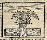 Picture 15 of 37 from Joannis Pierii Valeriani Bellunensis Hieroglyphica, sive, De sacris Aegyptiorum aliarumque gentium literis, commentariorum libri LVIII, duobus aliis ab eruditissimo viro annexis. Accesserunt loco auctarii, Hieroglyphicorum collectanea, ex veteribus & recentioribus auctoribus descripta, & in sex libros ordine alphabetico digesta; item Horapollinis Hieroglyphicorum libri duo ex postrema Davidis Hoeschelii correctione. Praeterea ejusdem Pierii Declamatiuncula pro barbis sacerdotum; De infelicitate literatorum libri duo; denique Antiquitatum Bellunensium sermones quatuor (1678), leaf 315