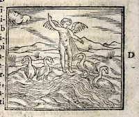 Picture 16 of 37 from Joannis Pierii Valeriani Bellunensis Hieroglyphica, sive, De sacris Aegyptiorum aliarumque gentium literis, commentariorum libri LVIII, duobus aliis ab eruditissimo viro annexis. Accesserunt loco auctarii, Hieroglyphicorum collectanea, ex veteribus & recentioribus auctoribus descripta, & in sex libros ordine alphabetico digesta; item Horapollinis Hieroglyphicorum libri duo ex postrema Davidis Hoeschelii correctione. Praeterea ejusdem Pierii Declamatiuncula pro barbis sacerdotum; De infelicitate literatorum libri duo; denique Antiquitatum Bellunensium sermones quatuor (1678), leaf 348