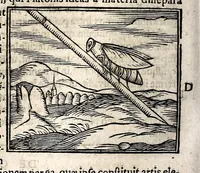 Picture 19 of 37 from Joannis Pierii Valeriani Bellunensis Hieroglyphica, sive, De sacris Aegyptiorum aliarumque gentium literis, commentariorum libri LVIII, duobus aliis ab eruditissimo viro annexis. Accesserunt loco auctarii, Hieroglyphicorum collectanea, ex veteribus & recentioribus auctoribus descripta, & in sex libros ordine alphabetico digesta; item Horapollinis Hieroglyphicorum libri duo ex postrema Davidis Hoeschelii correctione. Praeterea ejusdem Pierii Declamatiuncula pro barbis sacerdotum; De infelicitate literatorum libri duo; denique Antiquitatum Bellunensium sermones quatuor (1678), leaf 396