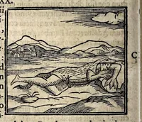 An illustration from Joannis Pierii Valeriani Bellunensis Hieroglyphica, sive, De sacris Aegyptiorum aliarumque gentium literis, commentariorum libri LVIII, duobus aliis ab eruditissimo viro annexis. Accesserunt loco auctarii, Hieroglyphicorum collectanea, ex veteribus & recentioribus auctoribus descripta, & in sex libros ordine alphabetico digesta; item Horapollinis Hieroglyphicorum libri duo ex postrema Davidis Hoeschelii correctione. Praeterea ejusdem Pierii Declamatiuncula pro barbis sacerdotum; De infelicitate literatorum libri duo; denique Antiquitatum Bellunensium sermones quatuor (1678)