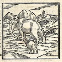 An illustration from Joannis Pierii Valeriani Bellunensis Hieroglyphica, sive, De sacris Aegyptiorum aliarumque gentium literis, commentariorum libri LVIII, duobus aliis ab eruditissimo viro annexis. Accesserunt loco auctarii, Hieroglyphicorum collectanea, ex veteribus & recentioribus auctoribus descripta, & in sex libros ordine alphabetico digesta; item Horapollinis Hieroglyphicorum libri duo ex postrema Davidis Hoeschelii correctione. Praeterea ejusdem Pierii Declamatiuncula pro barbis sacerdotum; De infelicitate literatorum libri duo; denique Antiquitatum Bellunensium sermones quatuor (1678)