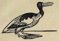 Picture 14 of 17 from Joannis Schefferi Argentoratensis Lapponia, id est, Regionis Lapponum et gentis nova et verissima descriptio : in qua multa de origine, superstitione, sacris magicis, victu, cultu, negotiis Lapponum, item animalium, metallorumque indole, quae in terris eorum proveniunt, hactenus incognita produntur, & eiconibus adjectis cum cura illustrantur (1673), leaf 373